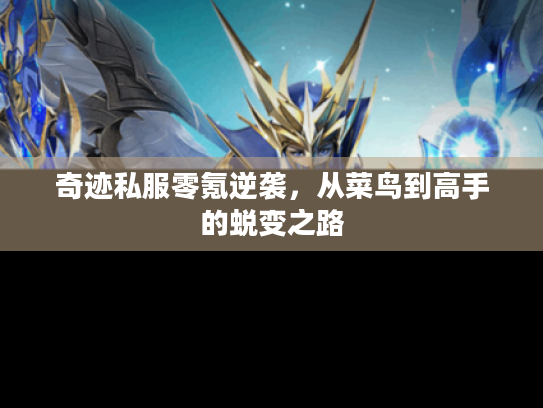 奇迹私服零氪逆袭，从菜鸟到高手的蜕变之路