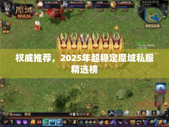 权威推荐，2025年超稳定魔域私服精选榜