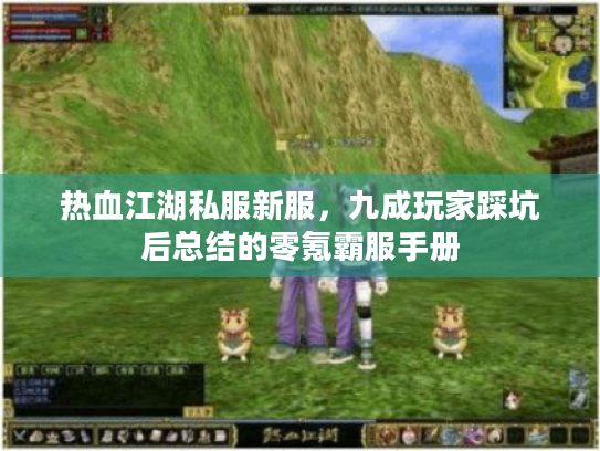 热血江湖私服新服，九成玩家踩坑后总结的零氪霸服手册