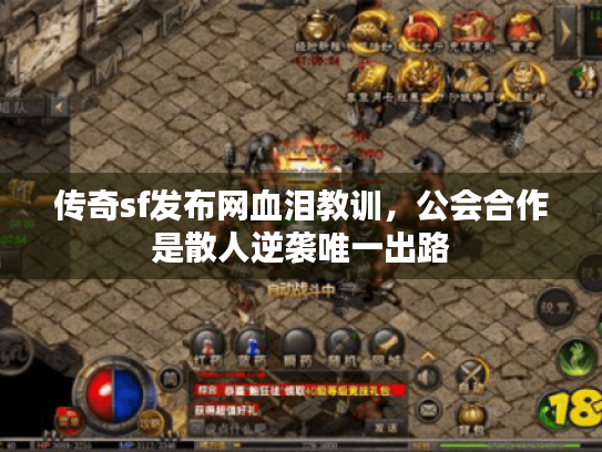 传奇sf发布网血泪教训，公会合作是散人逆袭唯一出路