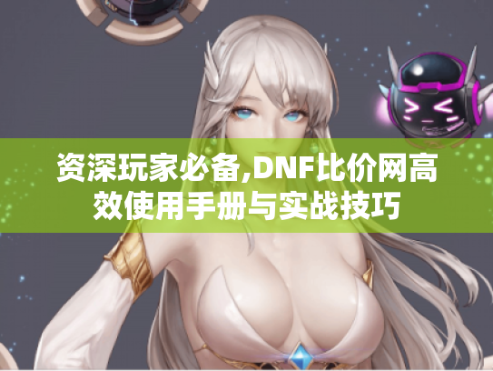 资深玩家必备,DNF比价网高效使用手册与实战技巧 资深玩家必备,DNF比价网高效使用手册与实战技巧