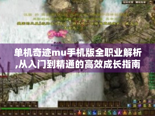 单机奇迹mu手机版全职业解析,从入门到精通的高效成长指南