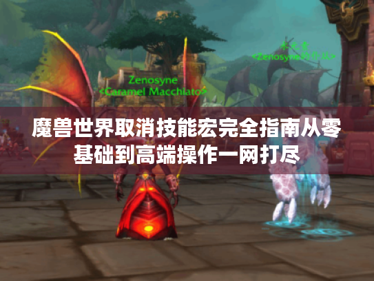 魔兽世界取消技能宏完全指南从零基础到高端操作一网打尽