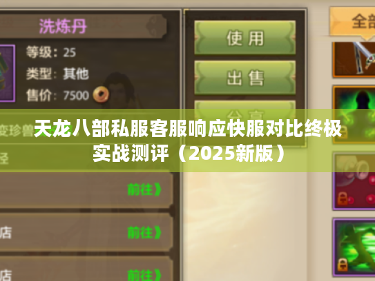 天龙八部私服客服响应快服对比终极实战测评（2025新版）