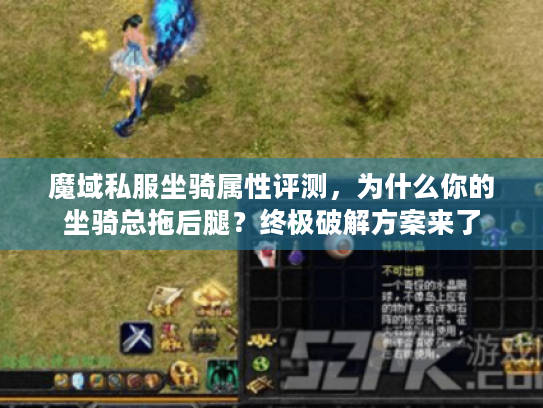 魔域私服坐骑属性评测，为什么你的坐骑总拖后腿？终极破解方案来了
