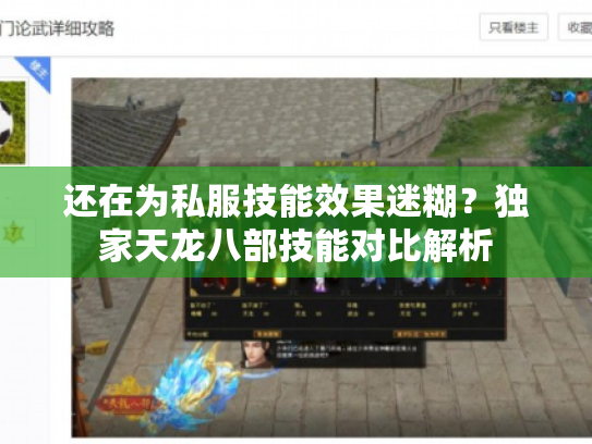 还在为私服技能效果迷糊？独家天龙八部技能对比解析
