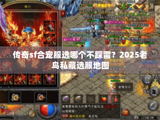 传奇sf合宠服选哪个不踩雷?2025老鸟私藏选服地图 传奇sf合宠服选哪个不踩雷?2025老鸟私藏选服地图