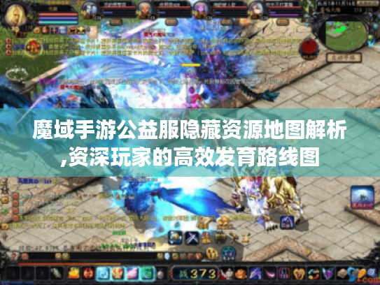 魔域手游公益服隐藏资源地图解析,资深玩家的高效发育路线图