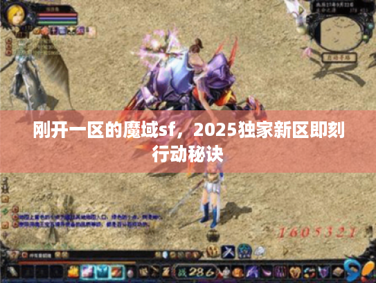 刚开一区的魔域sf，2025独家新区即刻行动秘诀