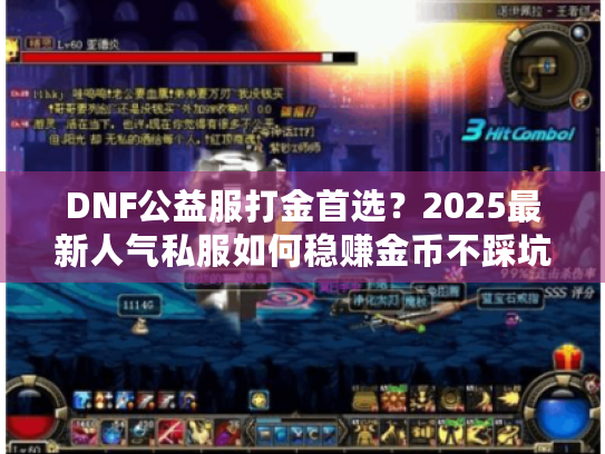 DNF公益服打金首选?2025最新人气私服如何稳赚金币不踩坑 DNF公益服打金首选?2025最新人气私服如何稳赚金币不踩坑
