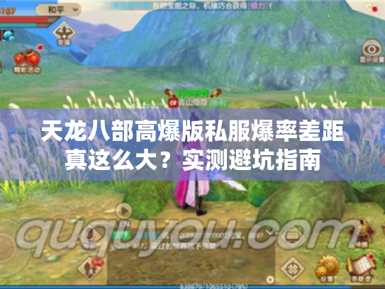 天龙八部高爆版私服爆率差距真这么大？实测避坑指南