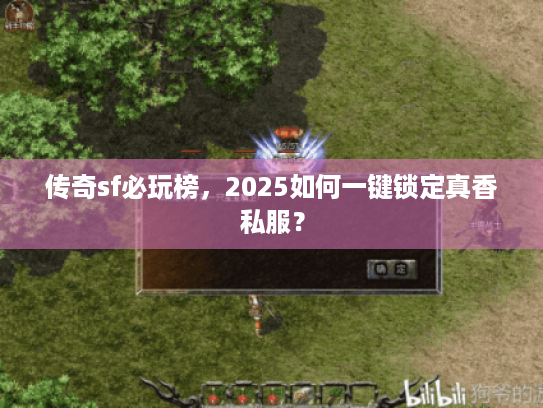 传奇sf必玩榜，2025如何一键锁定真香私服？