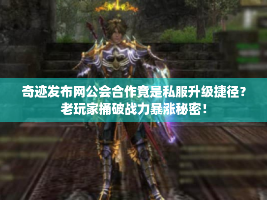 奇迹发布网公会合作竟是私服升级捷径？老玩家捅破战力暴涨秘密！