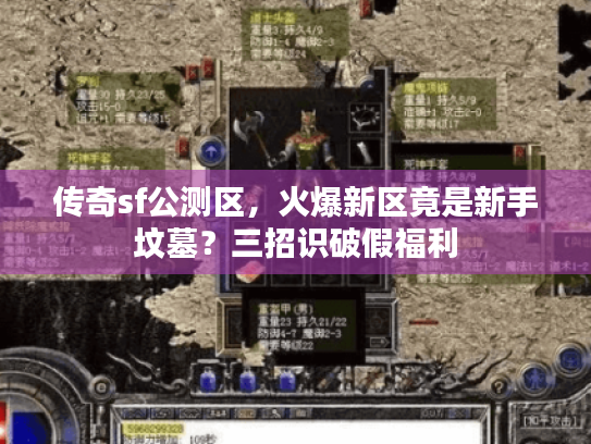传奇sf公测区，火爆新区竟是新手坟墓？三招识破假福利