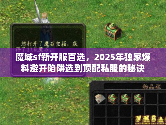 魔域sf新开服首选，2025年独家爆料避开陷阱选到顶配私服的秘诀