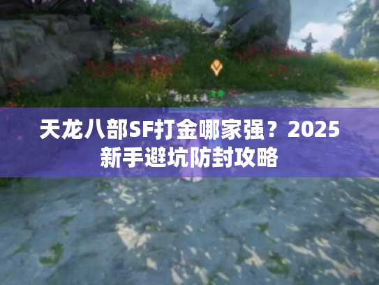 天龙八部SF打金哪家强?2025新手避坑防封攻略 天龙八部SF打金哪家强?2025新手避坑防封攻略