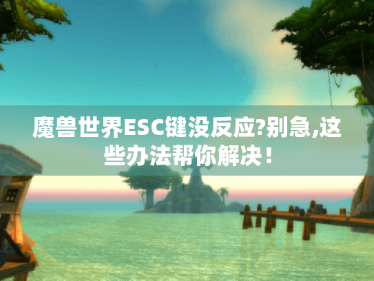 魔兽世界ESC键没反应?别急,这些办法帮你解决！