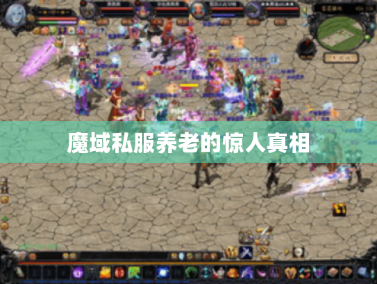 魔域私服养老的惊人真相