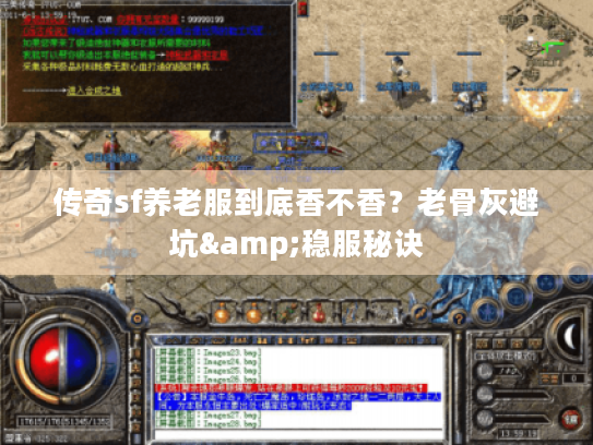 传奇sf养老服到底香不香？老骨灰避坑&稳服秘诀
