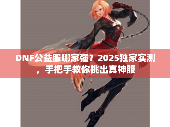 DNF公益服哪家强？2025独家实测，手把手教你挑出真神服
