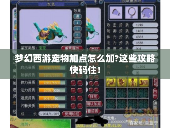 梦幻西游宠物加点怎么加?这些攻略快码住！