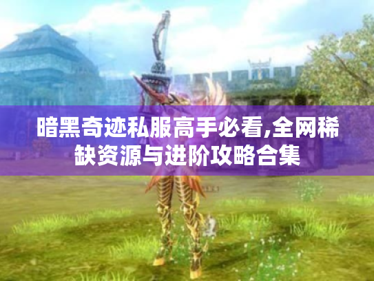暗黑奇迹私服高手必看,全网稀缺资源与进阶攻略合集