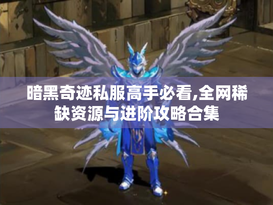 暗黑奇迹私服高手必看,全网稀缺资源与进阶攻略合集