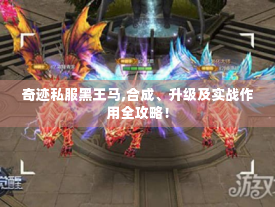 奇迹私服黑王马,合成、升级及实战作用全攻略！