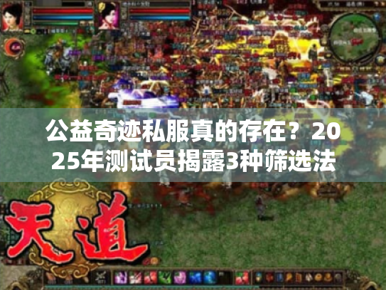 公益奇迹私服真的存在？2025年测试员揭露3种筛选法