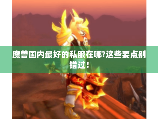 魔兽国内最好的私服在哪?这些要点别错过！