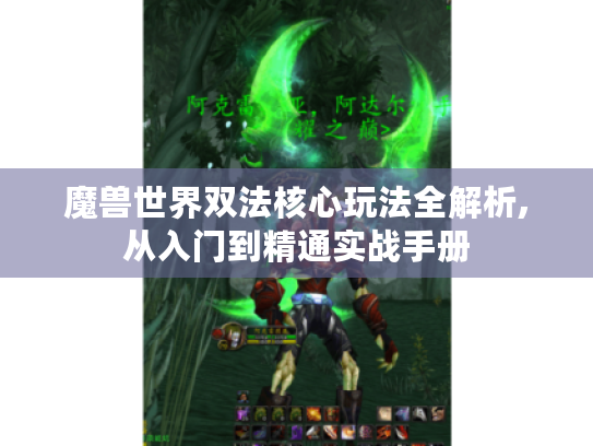 魔兽世界双法核心玩法全解析,从入门到精通实战手册 魔兽世界双法核心玩法全解析,从入门到精通实战手册