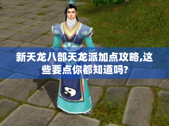新天龙八部天龙派加点攻略,这些要点你都知道吗? 新天龙八部天龙派加点攻略,这些要点你都知道吗?