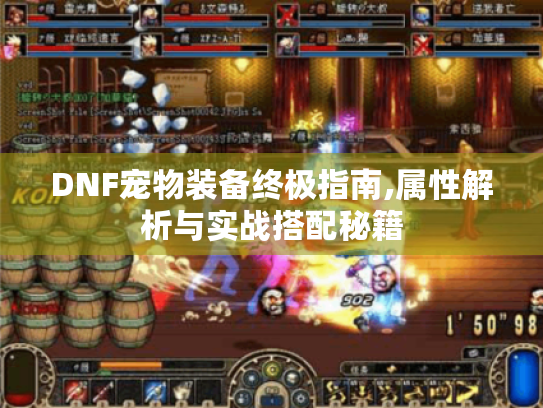 DNF宠物装备终极指南,属性解析与实战搭配秘籍