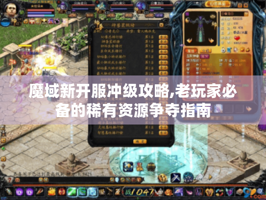 魔域新开服冲级攻略,老玩家必备的稀有资源争夺指南 魔域新开服冲级攻略,老玩家必备的稀有资源争夺指南