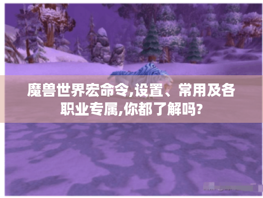 魔兽世界宏命令,设置、常用及各职业专属,你都了解吗?