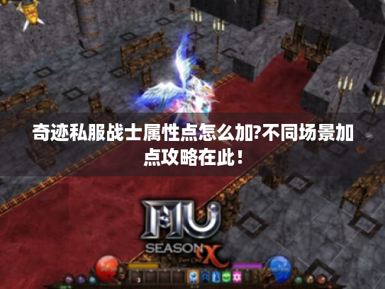 奇迹私服战士属性点怎么加?不同场景加点攻略在此！