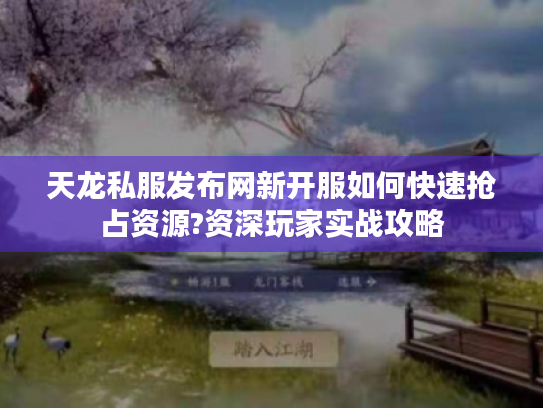 天龙私服发布网新开服如何快速抢占资源?资深玩家实战攻略 天龙私服发布网新开服如何快速抢占资源?资深玩家实战攻略