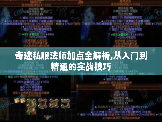 奇迹私服法师加点全解析,从入门到精通的实战技巧