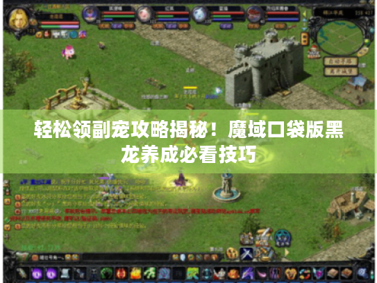 轻松领副宠攻略揭秘！魔域口袋版黑龙养成必看技巧