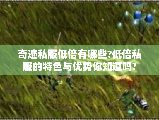 奇迹私服低倍有哪些?低倍私服的特色与优势你知道吗?