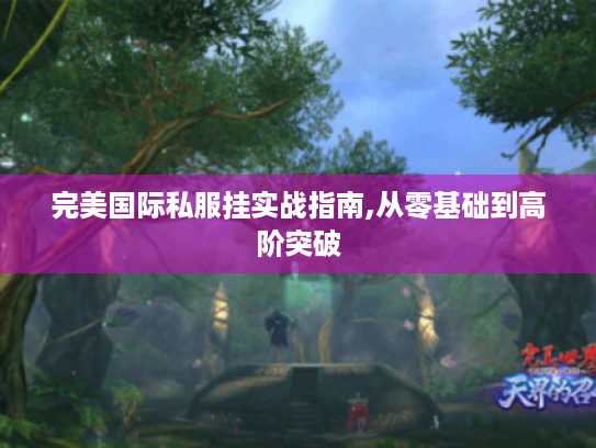 完美国际私服挂实战指南,从零基础到高阶突破 完美国际私服挂实战指南,从零基础到高阶突破