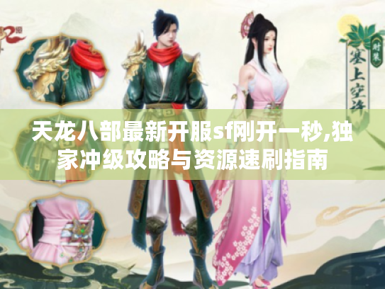 天龙八部最新开服sf刚开一秒,独家冲级攻略与资源速刷指南