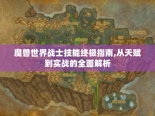 魔兽世界战士技能终极指南,从天赋到实战的全面解析