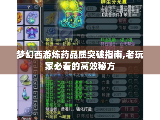 梦幻西游炼药品质突破指南,老玩家必看的高效秘方
