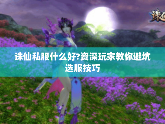 诛仙私服什么好?资深玩家教你避坑选服技巧 诛仙私服什么好?资深玩家教你避坑选服技巧