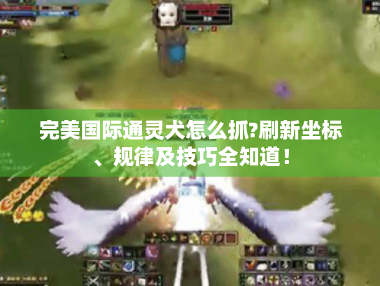 完美国际通灵犬怎么抓?刷新坐标、规律及技巧全知道! 完美国际通灵犬怎么抓?刷新坐标、规律及技巧全知道!