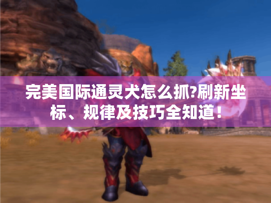 完美国际通灵犬怎么抓?刷新坐标、规律及技巧全知道! 完美国际通灵犬怎么抓?刷新坐标、规律及技巧全知道!