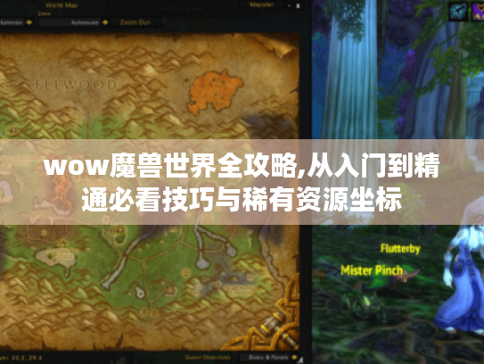 wow魔兽世界全攻略,从入门到精通必看技巧与稀有资源坐标