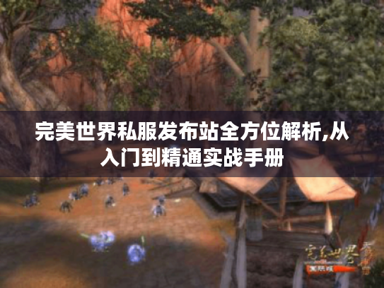 完美世界私服发布站全方位解析,从入门到精通实战手册
