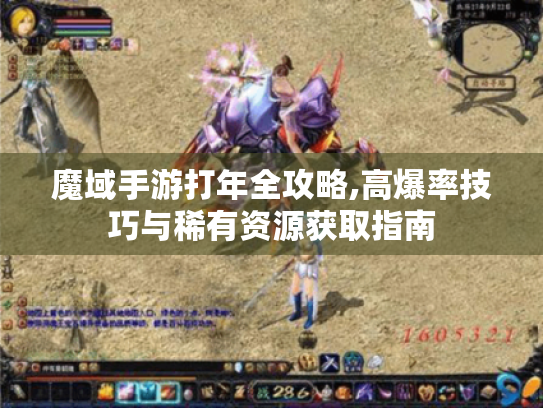 魔域手游打年全攻略,高爆率技巧与稀有资源获取指南
